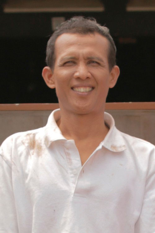 Freddy Rotterdam profile