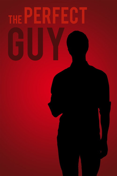 Movie poster for The Perfect Guy (2017)