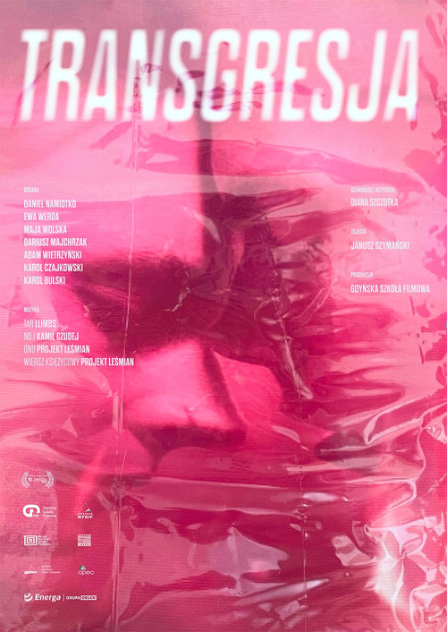 Movie poster for Transgression (2024)
