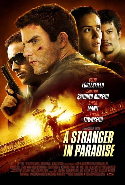 Movie poster for A Stranger in Paradise (2013)
