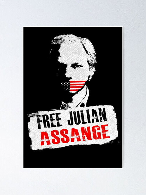 Movie poster for Julian Assange: Chronik einer Spionageaffäre (2021)