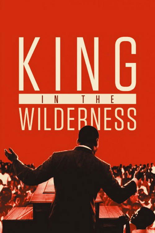 Movie poster for King in the Wilderness (2018)
