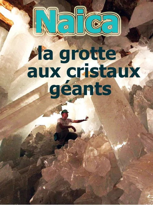 Movie poster for Naïca: La grotte aux cristaux géants (2009)