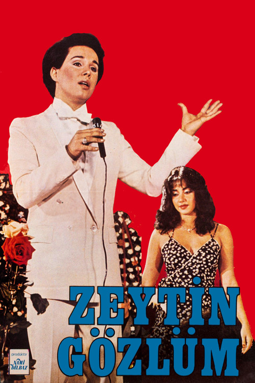 Movie poster for Zeytin Gözlüm (1980)