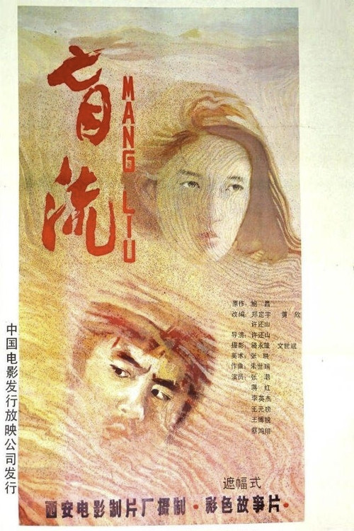 Movie poster for 盲流 (1987)
