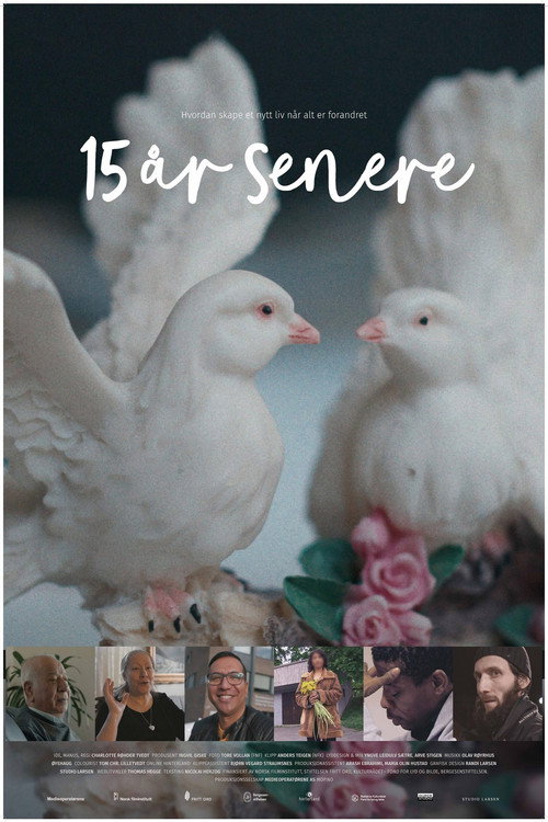 Movie poster for 15 years later (2022)