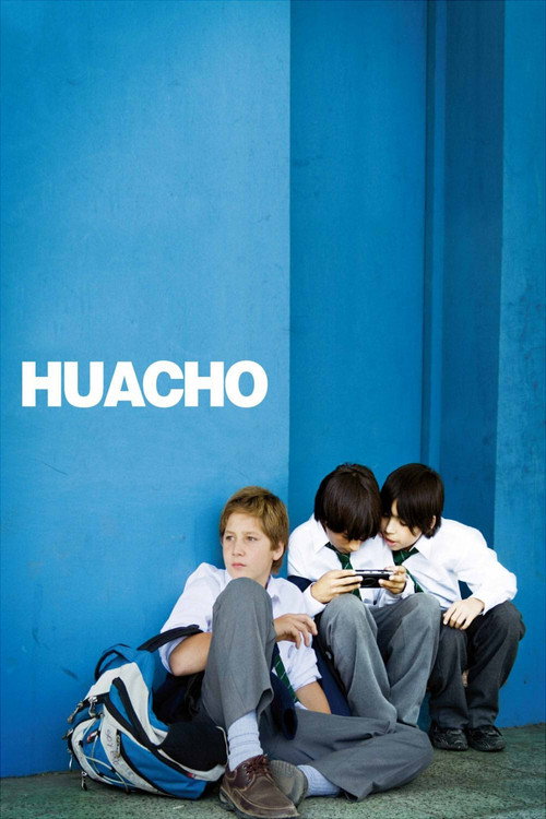 Movie poster for Huacho (2010)