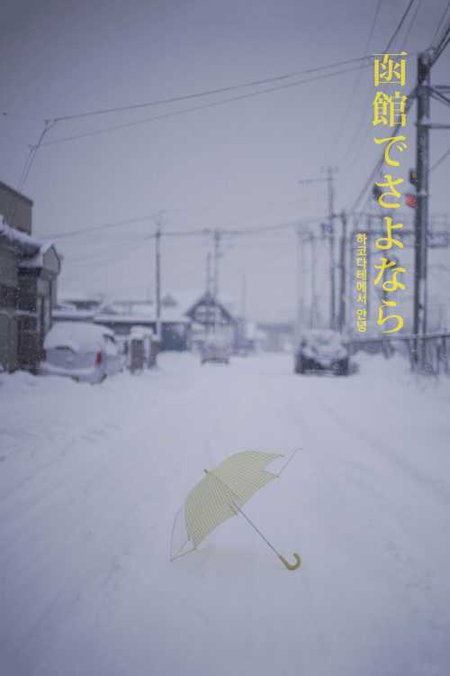 Movie poster for Hello in Hakodate (2019)