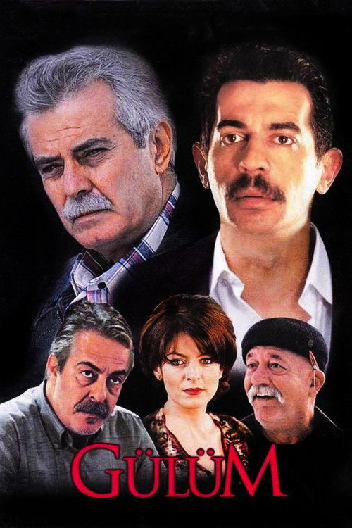 Movie poster for Gülüm (2003)