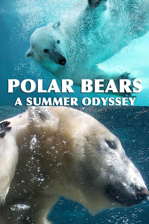 Movie poster for Polar Bears: A Summer Odyssey (2012)