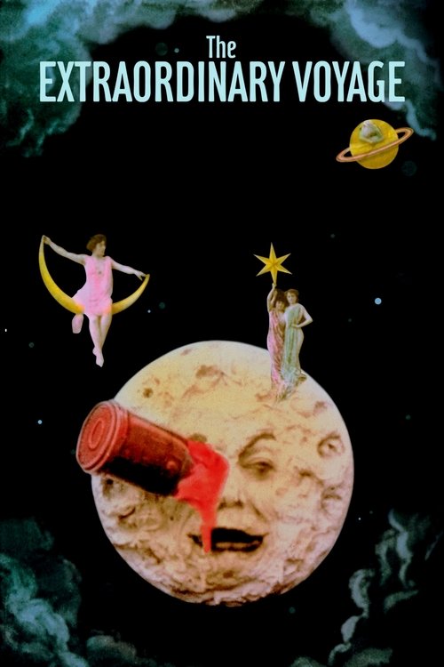 Movie poster for The Extraordinary Voyage (2011)