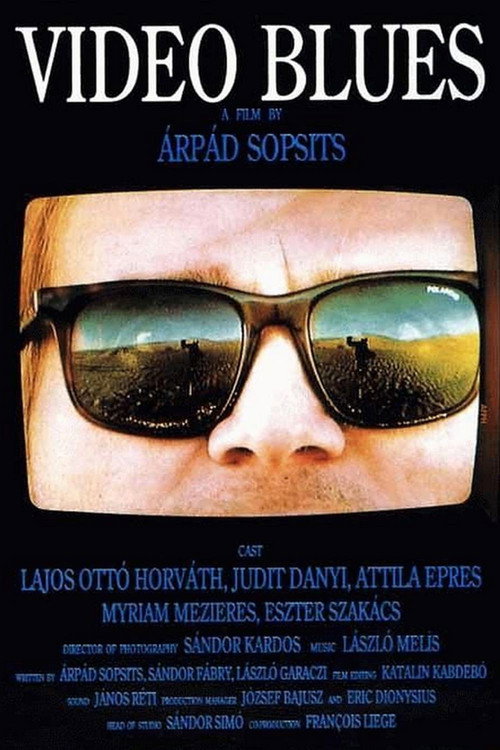 Movie poster for Video Blues (1992)