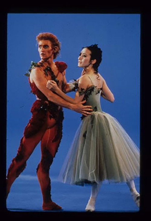 Movie poster for To Dream Of Roses