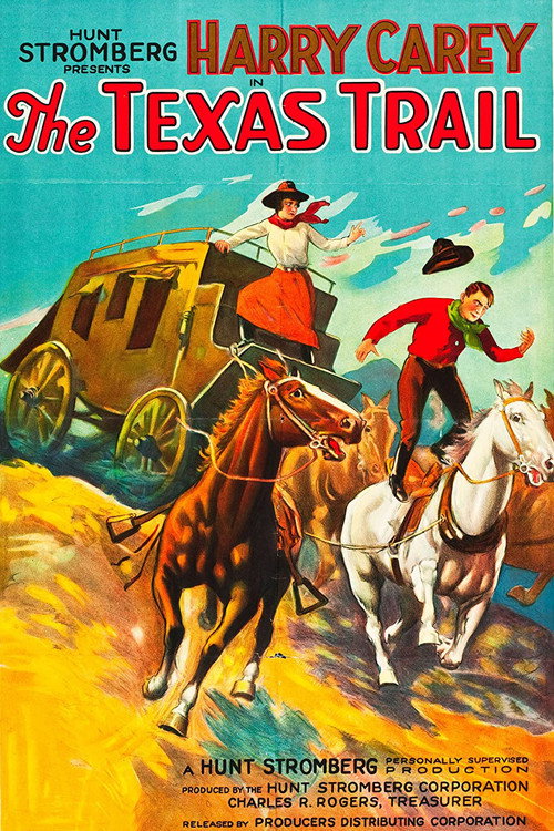 Movie poster for The Texas Trail (1925)
