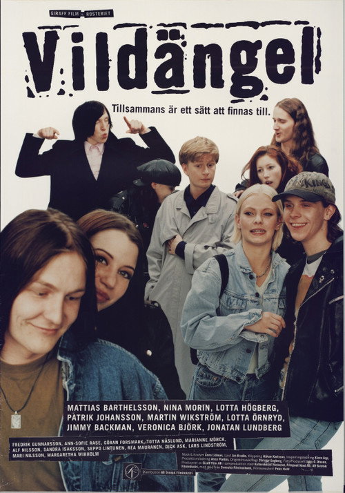 Movie poster for Vildängel (1997)