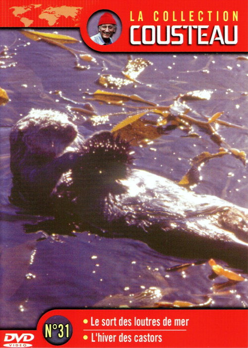 Movie poster for The Cousteau Collection N°31-1 | The Fate of Sea Otters (1971)
