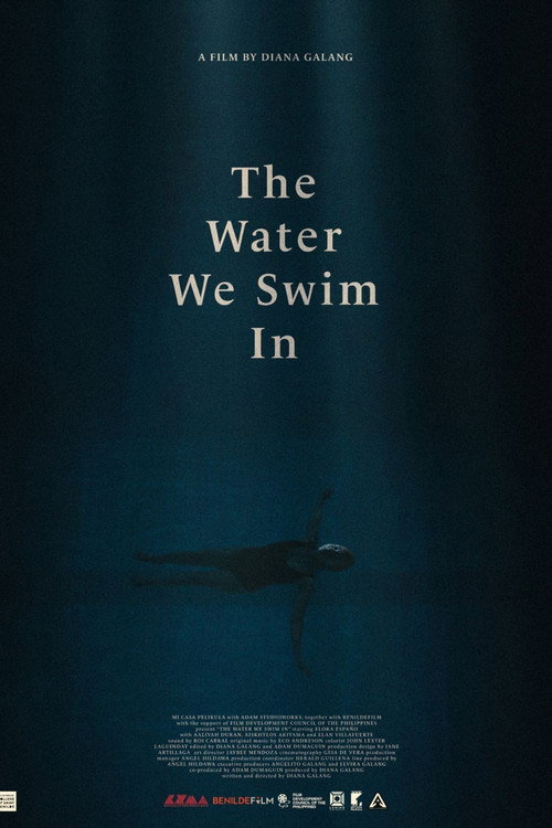 Movie poster for The Water We Swim In (2025)