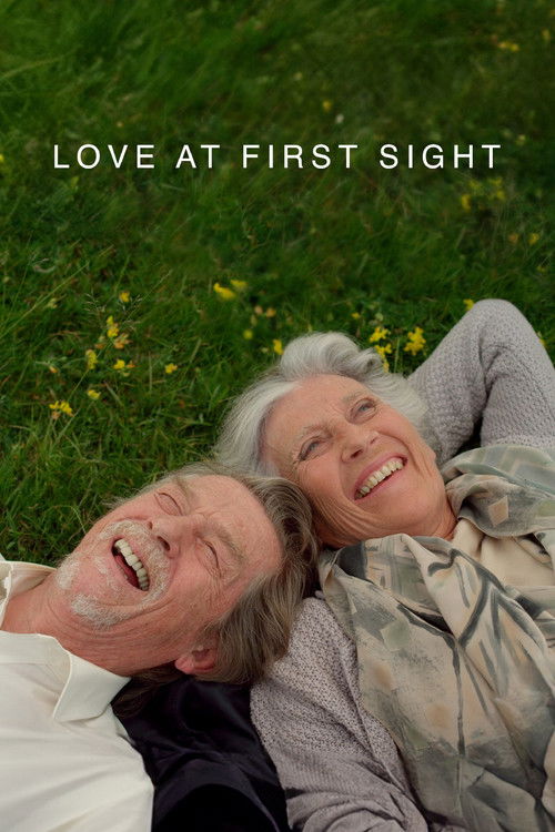 Movie poster for Love at First Sight (2010)