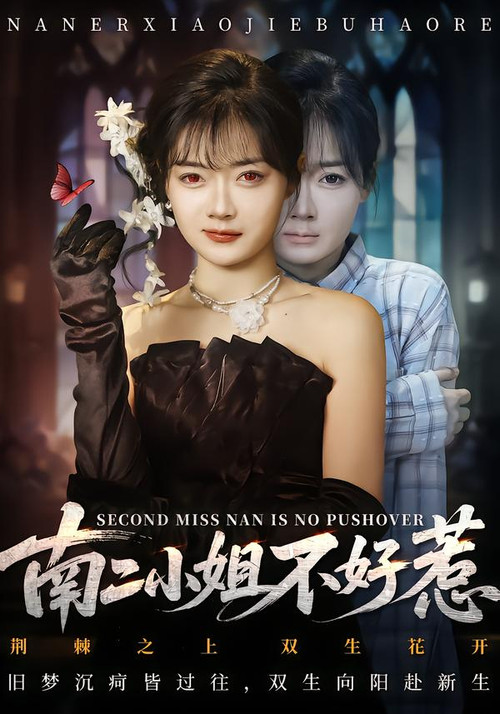 南二小姐不好惹 poster