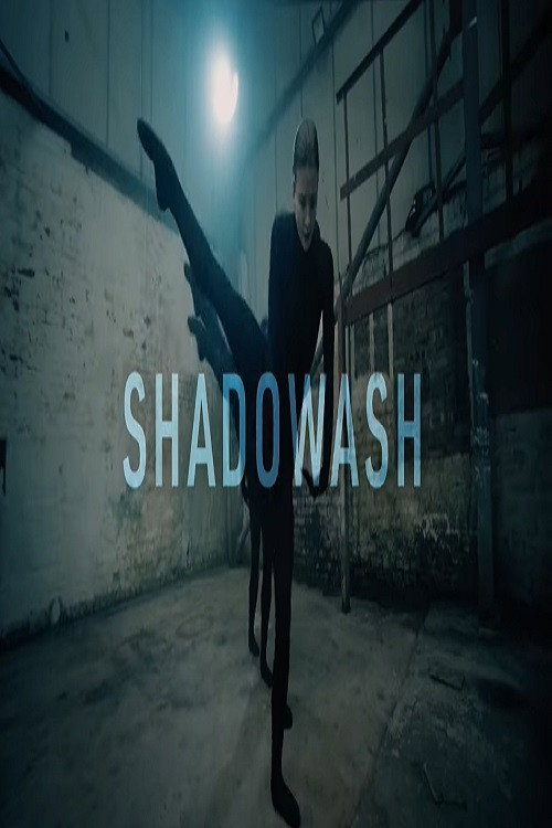 Movie poster for Shadowash