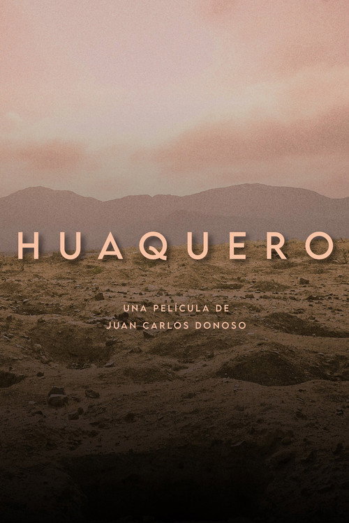 Movie poster for Huaquero (2024)