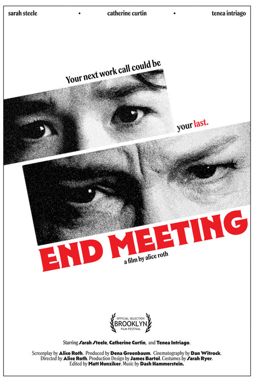 Movie poster for End Meeting (2025)