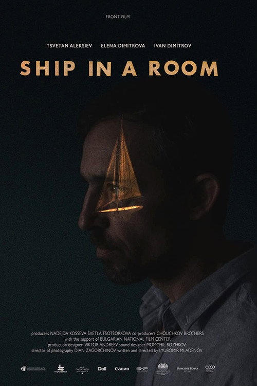 Movie poster for Ship in a Room (2017)
