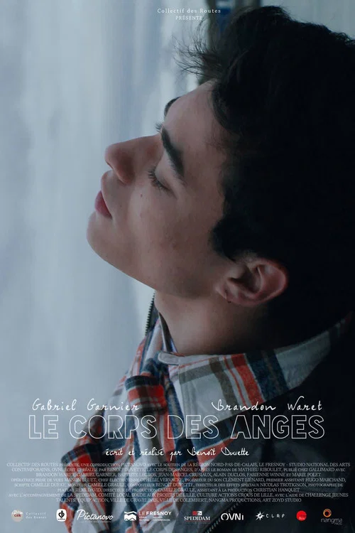 Movie poster for Body of Angels (2016)