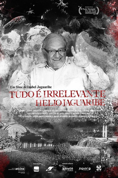 Movie poster for Tudo é Irrelevante. Hélio Jaguaribe (2017)
