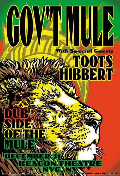Movie poster for Gov't Mule: Dub Side of the Mule (2015)