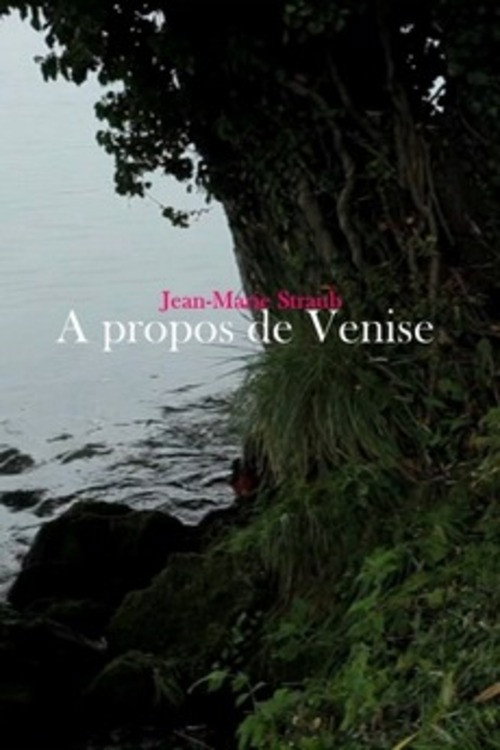 Movie poster for Concerning Venice (2014)