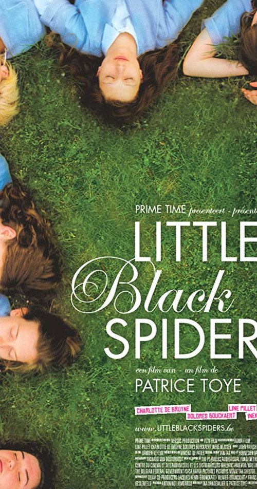 Movie poster for Little Black Spiders (2012)