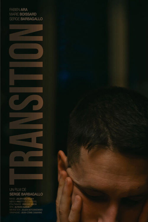 Movie poster for Transition (2022)