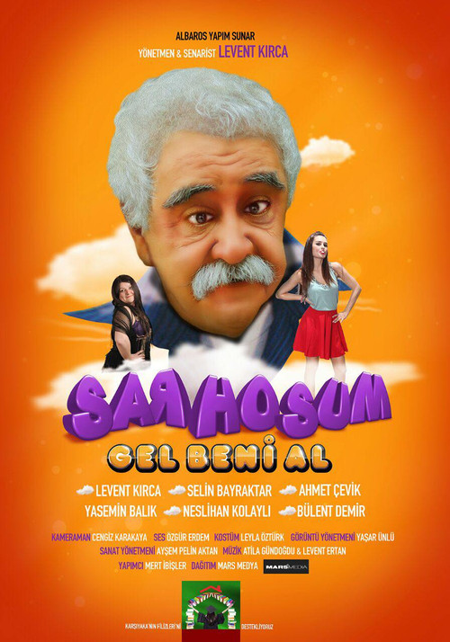 Movie poster for Sarhoşum Gel Beni Al (2015)