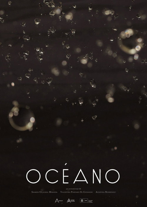 Movie poster for Ocean