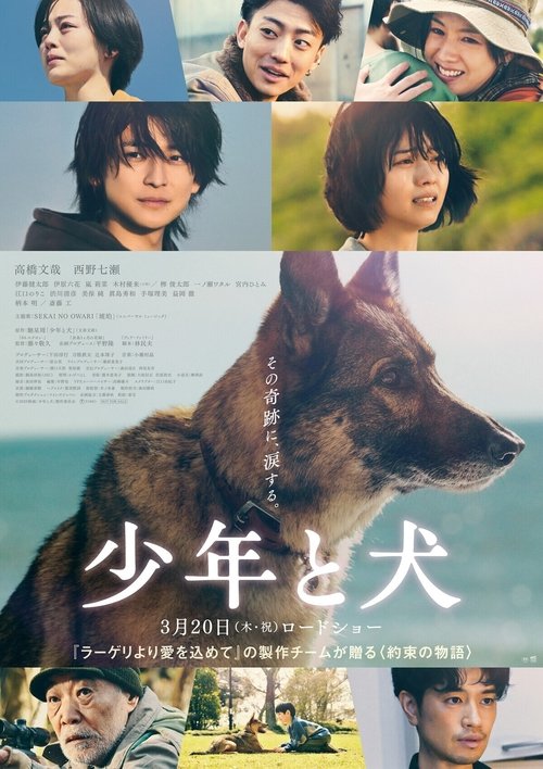 Movie poster for The Boy and the Dog (2025)