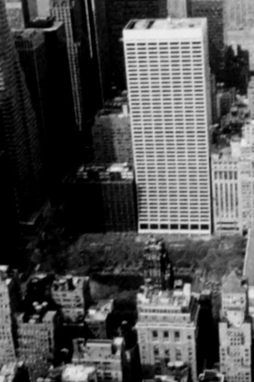 Movie poster for Waste no. 4 New York, New York (2020)