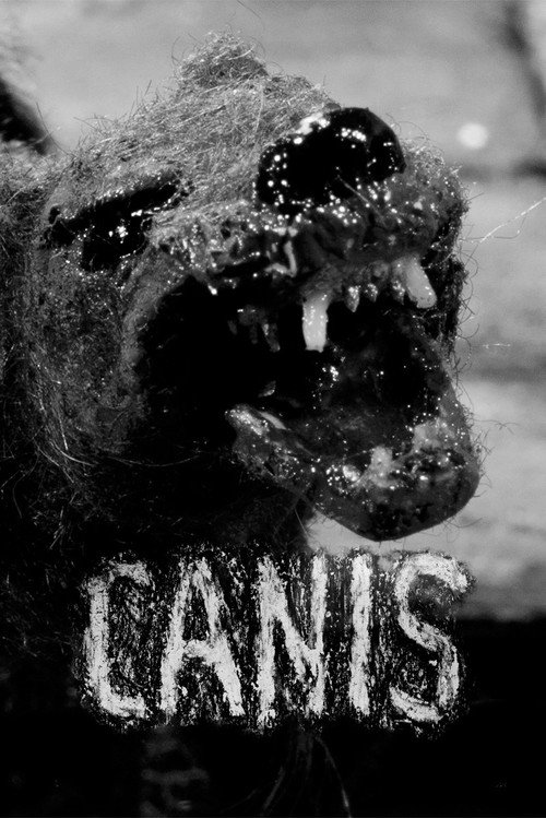 Movie poster for Canis (2013)