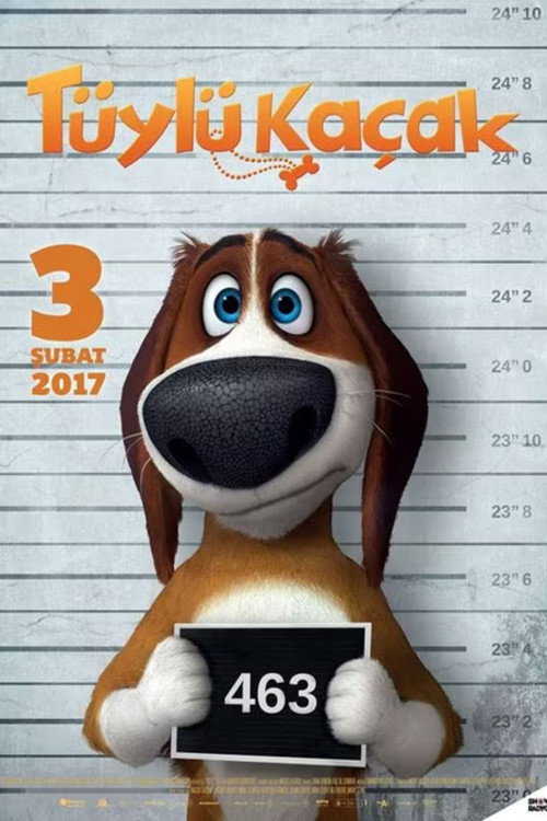 Movie poster for Run Ozzy Run