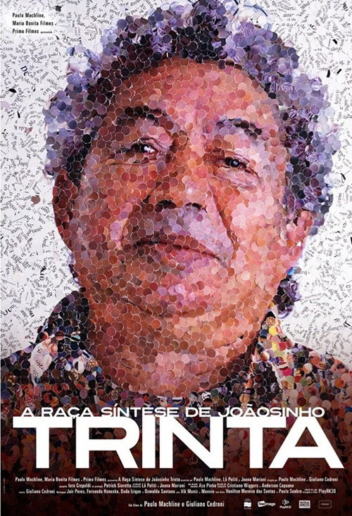 Movie poster for A Raça Síntese de Joãosinho Trinta (2009)