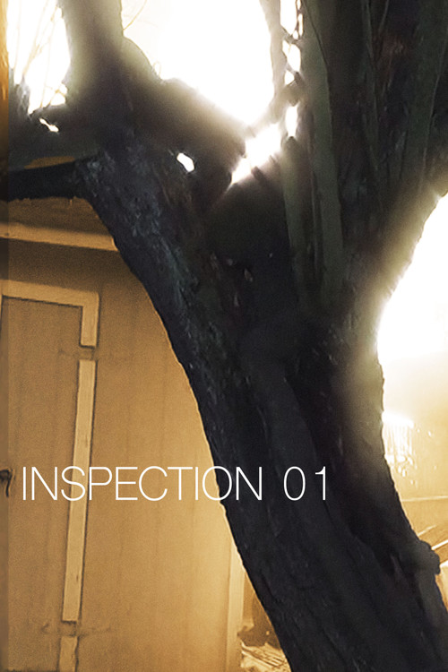 Movie poster for Inspection 01 (2025)