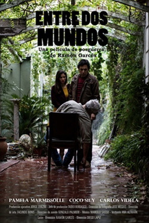Movie poster for Entre dos mundos (2016)