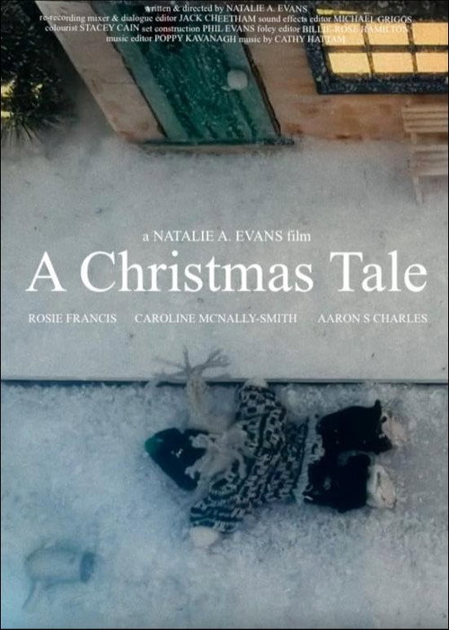 Movie poster for A Christmas Tale (2023)