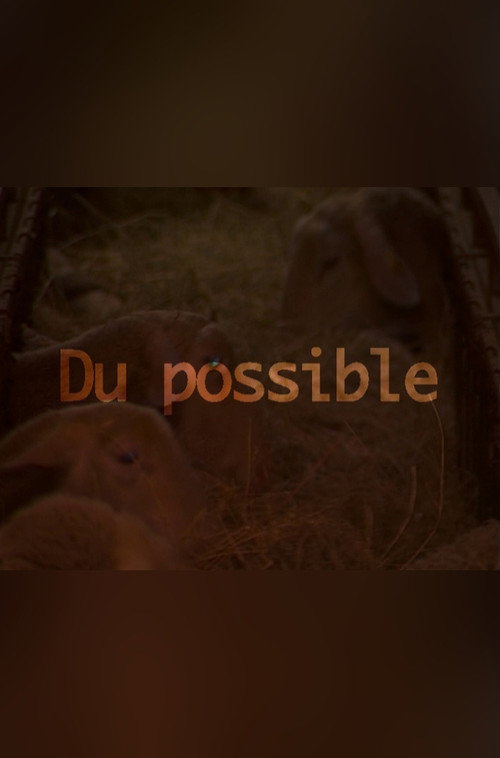 Movie poster for Du possible (2006)