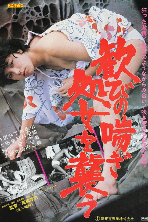 Movie poster for Craving Pleasure: Attack a Virgin (1981)