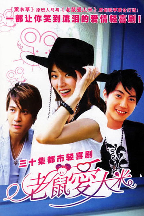 老鼠爱大米 poster