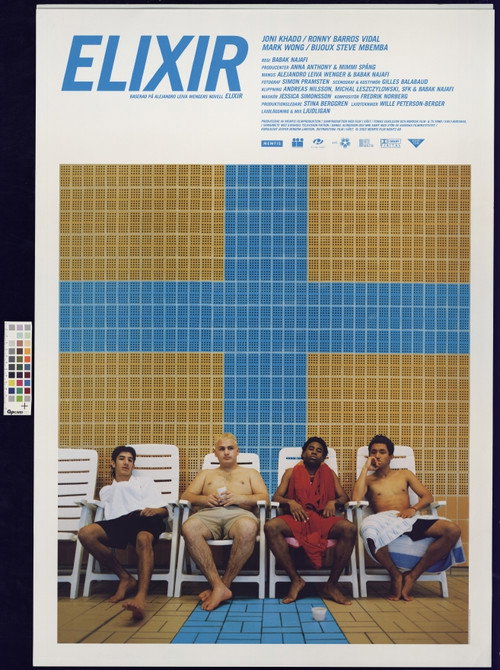 Movie poster for Elixir (2004)