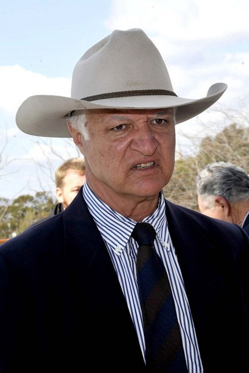 Photo of Bob Katter, Acting