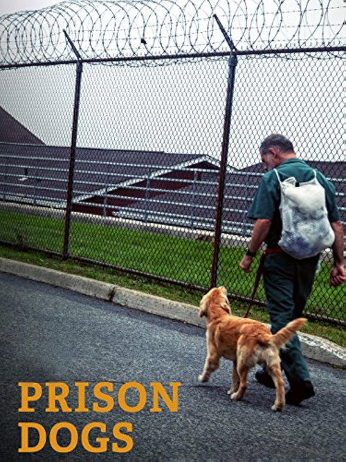 Movie poster for Prison Dogs (2016)