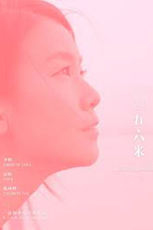 Movie poster for 1056 Metres (2019)